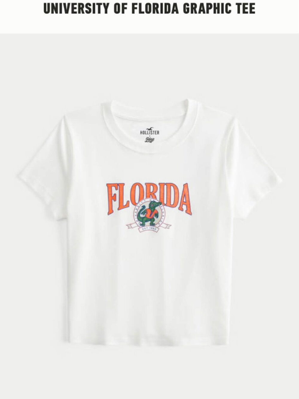 Hollister + Blue 84 cropped tee size Large Florida Gators